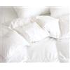 Home Tresor - Piumino in Vera Piuma d'Oca Matrimoniale, Piumone Invernale Caldissimo, 90% piumino 10% piumetta, cm. 250 x 200, bianco