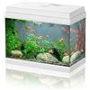 AQPET Acquario in Vetro per Pesci Tropicali Completo di Accessori Filtro Luce Simply, 30 39x22x30 cm 30 Litri, Bianco
