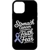 Stomach Cancer Warrior Gifts for Women a Custodia per iPhone 12 mini Consapevolezza del cancro allo stomaco Pervinca Novembre Cancro allo stomaco