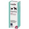 CAMON FLOGOSTOP PASTA CON DOSATORE 100 G (Supporto della funzione dermica) G897
