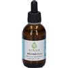 Erbex Pilosella Tintura Madre Soluzione Idroalcolica 50 Ml ml