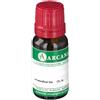 E6 Betulla 10Ml 10 ml Gocce orali