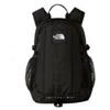 THE NORTH FACE HOT SHOT MINI Zaino sportivo