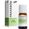 Pranarom Pranarôm Bio Huile Essentielle Cèdre de l'Atlas 10 ml