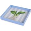 WD LifeStyle Vassoio Svuota Tasche Quadrato 20x20 cm con Coniglio - Elegante e Decorativo