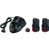 Bosch 1600A00X7E - Batteria ricaricabile agli ioni di litio GBA 12 V, 2 × 3,0 Ah + GAL 1230 CV, 3000 mAh, agli ioni di litio (Li-Ion), 12 V, nero, 2 pezzi