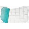 COLOPLAST SPA COMFEEL-33530 PLUS TRASP 5X7 10P