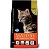 RUSSO MANGIMI SpA MATISSE NEUTERED SALMON 10KG