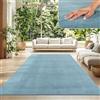 TT Home Tappeto Salotto Pelo Corto Monocolore Design Moderno Lavabile, Colore: Blu Chiaro Turchese, Dimensione:200 cm Quadrato