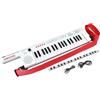 BONTEMPI - Keytar Elettronica a 37 Tasti con 4 Suoni 4 Ritmi 10 Brani Preregistrati Funzione OKON Regolazione Volume USB Tipo-C Ricarica Batteria Tracolla Striscia Pentagramma 550x112x40 mm