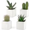 Vimin Box Set di 4 Vasi Bianchi, da Interno in Ceramica Bianca Lucida | Misura 6,5x6,5 cm | Ideali per Piante Grasse, Bonsai, Fiori, Vasetti Decorativi da Interno Moderni per Casa, Scrivania, Tavolo, Ufficio.