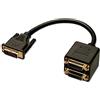 Lindy Cavo Splitter Dvi. 2 Porte