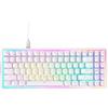 NZXT Function Elite MiniTKL KB-101NW-US White TKL Gaming Keyboard US Rapid
