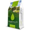 Emeraldgreen AGGRESSIVE 9010, Semi per Prato, Alta Tolleranza a Calpestio e Siccità, Adatto per Zone Soleggiate, alta Resistenza a Malattie e siccità, 5kg (200mq)