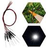 Evemodel 20 diodi luminosi a LED SMD, forma micro Litz 0603, con cavo da 20 cm, 12 V