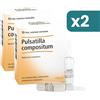 Guna Pulsatilla Compositum Bipacco 2x10 Fiale