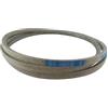Universel Cinghia l=250cm 135062019/0 per trattore