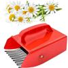 Generic Raccoglitore per camomilla - Rastrello raccogli fiori di camomilla con pettine in acciaio inossidabile e manico ergonomico, strumento per raccogliere più facilmente bacche, camomilla, ciliegie