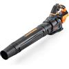 LawnMaster MX 24 V soffiatore a batteria con ventola assiale | Potente soffiatore da giardino - senza batteria agli ioni di litio e caricatore | 2 anni di garanzia