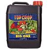 Top Crop - Big One - 5L