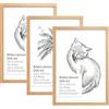 Licht-Erlebnisse Cornici A3 set 3 legno plastica infrangibili 45 x 32,5 cm quadrate verticali orizzontali