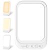 GOMETY Lampada da terapia con luce da 10.000 lux con 4 timer, 3 temperature di colore, lampada LED che imita la luce diurna, supporto pieghevole.