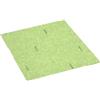 Vileda Professional, Panni Spugna Wettex Professionali, 10 Pezzi, Alta Assorbenza fino a 15x il Peso, 100% Biodegradabili, Pulizia cucina e Superfici umide, Codice Colore, HACCP, Verde, 26,5x20,5cm