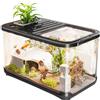 Générique Kit di avviamento per acquario ventilato | Kit acquario completo, con vassoio per scale per decorazioni vegetali, , sabbia e gamberi d'acqua