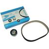 DAYCO Kit cinghie dentate KTB533