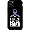 Stomach Cancer Warrior Gifts for Women a Custodia per iPhone 11 Pro Max Consapevolezza del cancro allo stomaco Pervinca Novembre Cancro allo stomaco