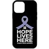 Stomach Cancer Warrior Gifts for Women a Custodia per iPhone 12 mini Consapevolezza del cancro allo stomaco Pervinca Novembre Cancro allo stomaco