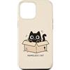 Homeless Cat Custodia per iPhone 12 Pro Max Homeless Cat Box Gatto Divertente Gattino Carino Gatto Nero
