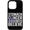 Stomach Cancer Warrior Gifts for Women a Custodia per iPhone 13 Pro Consapevolezza del cancro allo stomaco Pervinca Novembre Cancro allo stomaco