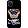 Stomach Cancer Warrior Gifts for Women a Custodia per iPhone 11 Pro Max Consapevolezza del cancro allo stomaco Pervinca Novembre Cancro allo stomaco