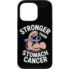 Stomach Cancer Warrior Gifts for Women a Custodia per iPhone 13 Pro Consapevolezza del cancro allo stomaco Pervinca Novembre Cancro allo stomaco