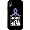 Stomach Cancer Warrior Gifts for Women a Custodia per iPhone XR Consapevolezza del cancro allo stomaco Pervinca Novembre Cancro allo stomaco