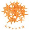 QUARKZMAN 30Pcs Stelle Marine per, 0.4-0.8 Piccole Stelle Marine Naturali Conchiglie all'Ingrosso PerFai da Te per Matrimoni Feste A Tema Spiaggia, Arancione