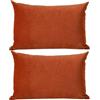 ZZDZW Federe In Cuscini Per Divano 50x70/60x80 Federe In Copricuscino Con Cerniera,Federe Moderne Per Camera Da Letto Divano Decorativo Velluto A Coste Elegante Lavabile Pillow Covers ( Color : #22 , Size :