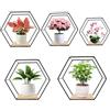 SHUESS Hexagon - Set di 5 scaffali da parete in metallo, colore nero, per decorazione da parete in soggiorno, camera da letto, bagno, caffetteria e hotel