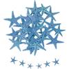 QUARKZMAN 30Pcs Stelle Marine per, 0.4-0.8 Piccole Stelle Marine Naturali Conchiglie all'Ingrosso PerFai da Te Matrimoni Tema Spiaggia FesteCasa Vasi, Blu Scuro