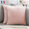 Douceur De Plumes Set di 2 Federe Cuscini Decorativi Tinta Unita in Velluto Rosa Cipria 50x50, Federa Quadrata Moderna e Morbida, Decorazione Soggiorno Divano Camera Letto (2 Rosa Cipria)