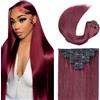 Zeslaerr 24 Inch Extension Capelli Veri Clip Silky Straight Human Hair Extensions Clip in Invisible Hairpin #99J Burgundy Color 7pz 60 cm 120g Unprocessed Remy Hair for Women