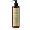 Bodhi Crema Corpo Profumata Pelle Secca e Grassa al Cocco e Vaniglia - Latte Corpo Naturale e Biologico ad Assorbimento Rapido con Vitamina E, Olio Jojoba e Olio Riso - Crema Corpo Idratante 250 ml