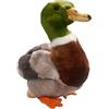 Carl Dick Peluche Uccello, Anatra, 22cm 3336