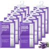 CLEVAST Assorbitore di umidità, confezione da 10 pezzi, sacchetto deumidificatore, inodore per armadio, appartamento, camera da letto, bagno (Viola)