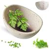 GRKZBKW Pottery - Ciotola spogliarellista per erbe aromatiche a 4 scomparti con fori di diverse dimensioni, design ergonomico, separazione di foglie e steli per timo, basilico, rosmarino e altro (bianco)
