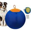 Generico Palla Gigante Da Pastore Per Cani, Palla Giocattolo Extra Large Per Cani, Palloni Gonfiabili Interattivi Per L'intrattenimento Degli Animali Domestici Con Guinzaglio E Pompa, Resistenti E Antistrappo