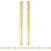 PATIKIL 14x1.2 Inch Cerniera Pianoforte,2 Pcs 304 Acciaio Inossidabile Cerniera Continua Con Fori Per Porta Cancello Pianoforte Scatola Legno Mobile Barca, Oro