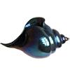 Abate Zanetti AR-101-003 Conchiglia di Murano, Vetro, Blu, 30x13.5x18 cm