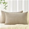 Topfinel Federe Cuscini Divano 50x70cm Taupe in Velluto a Coste Copricuscini con Cerniera Invisibile Motivo A righe per Soggiorno Camera Balcone Esterno 2 Pezzi
